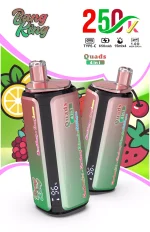 Bang King 250000 - 250K Puffar (2)