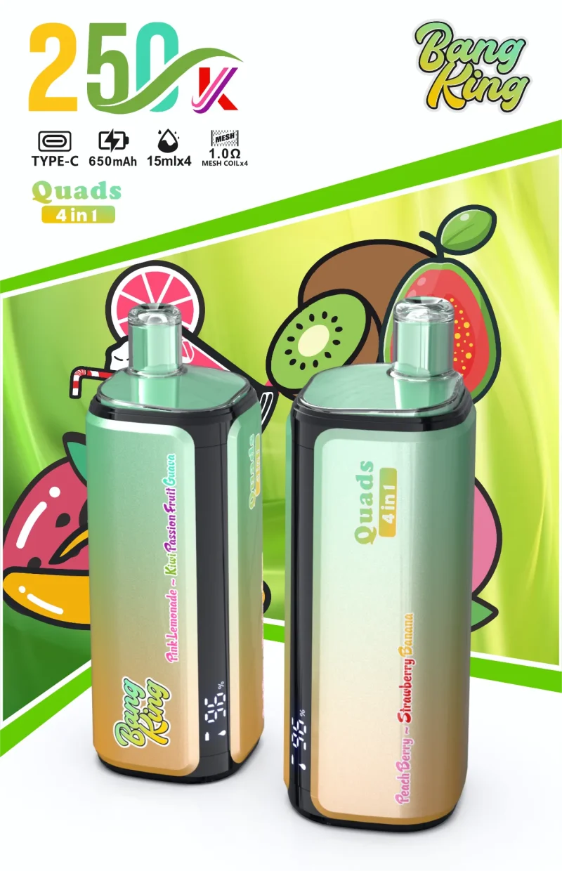 Bang King 250000 - 250K Puffar (4)