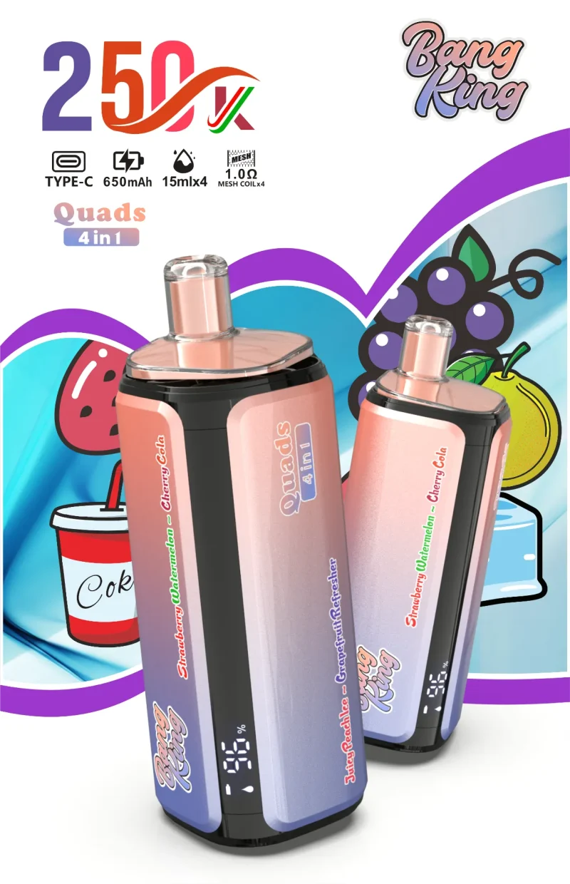 Bang King 250000 - 250K Puffar (6)