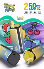 Bang King 250000 - 250K Puffar (7)