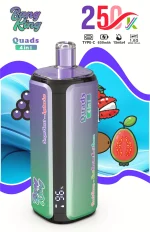 Bang King 250000 - 250K Puffar (8)