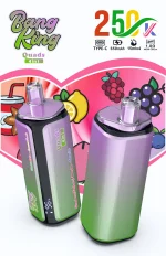 Bang King 250000 - 250K Puffar (9)