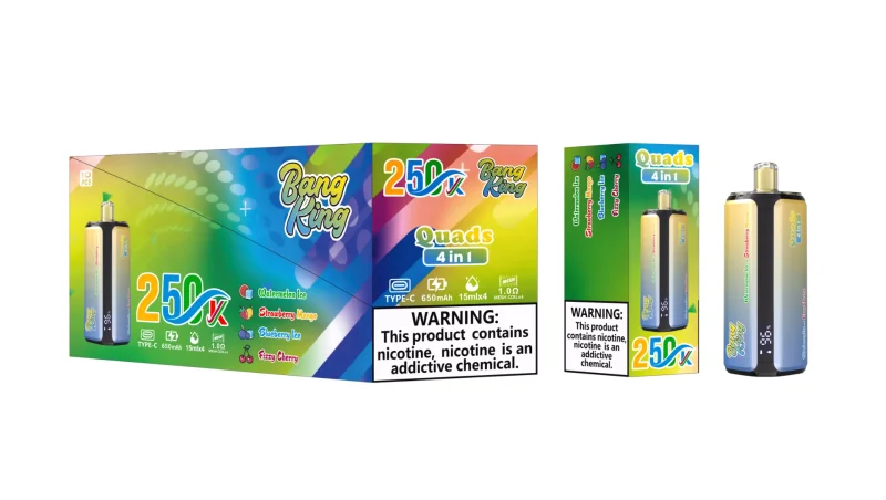 Bang King 250000 - 250K Puffar - Watermelon Ice Strawberry Mango Blueberry Ice Fizy Cherry