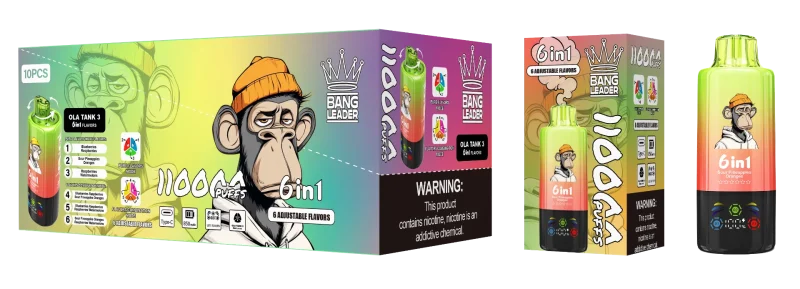 Bang Leader 110000 – 110K Puff - Blueberries Raspberries & Sour Pineapples Oranges & Raspberries Watermelons (2)