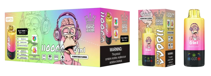 Bang Leader 110000 – 110K Puff - Blueberry Ice & Raspberry Lemon & Watermelon Bubblegum (2)