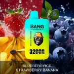 Bang Leader 32000 – 32K Puffar - Blueberry Ice & Strawberry Banana