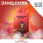 Bang Leader 32000 – 32K Puffar - Cola Ice & Cherry Cranberry