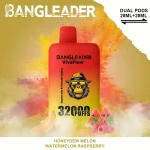 Bang Leader 32000 – 32K Puffar - Honeydew Melon & Watermelon Raspberry