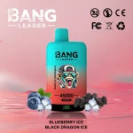 Bang Leader 45000 – 45K Puffar-mirtillo-ghiacciato-dragone-nero-ghiacciato.jpg