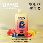 Bang Leader 45000 – 45K Puffar-mirtillo-anguria-fragola-mango.jpg