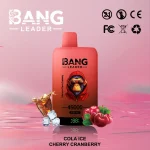 Bang Leader 45000 – 45K Puffar-cola-ghiacciata-ciliegia-mirtillo-rosso.jpg