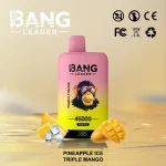 Bang Leader 45000 – 45K Puffar-ananas-ghiacciato-triplo-mango.jpg