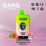 Bang Leader 45000 – 45K Puffar-fragola-kiwi-pesca-ghiacciata.jpg (1)