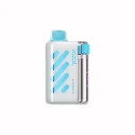 VOZOL Vista 40000 – 40K Puffar Vape - BLUE RAZZ ICE (2)