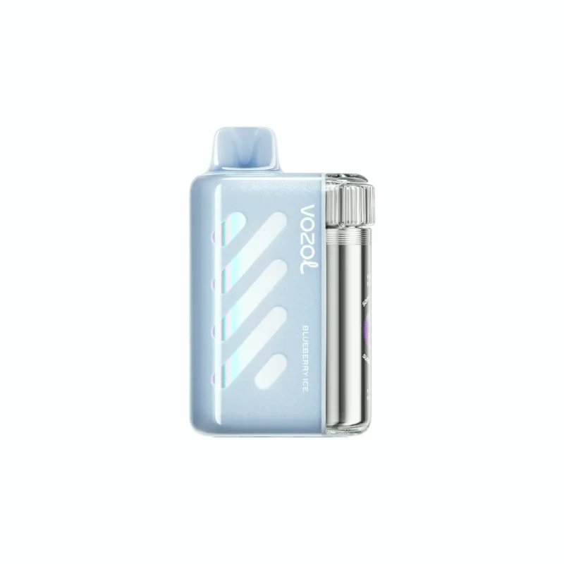 VOZOL Vista 40000 – 40K Puffar Vape - BLUEBERRY ICE (2)