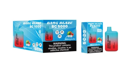 Bang Blaze BC5000 5000 Puffar (5000 puffar) Watermelon Ice uppladdningsbar engångsvape 16ml