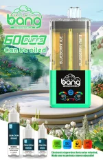 Bang Vape 60K Puffar (60000 puffar) Blueberry Ice & Mint 2-in-1 uppladdningsbar engångsvape 36ml
