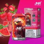 jnr-falcon-16000-puffar-Strawberry Watermelon Ice