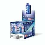 VOZOL RAVE 40000 Puffar (40000 puffar) Blueberry Watermelon 5% nikotin uppladdningsbar engångsvape 1000mAh 270° glow beat-synced party mode 20ml 1.2Ω coil Type-C EU lager
