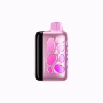 VOZOL RAVE 40000 Puffar (40000 puffar) Watermelon Ice 5% nikotin uppladdningsbar engångsvape 1000mAh 270° glow beat-synced party mode 20ml 1.2Ω coil Type-C EU lager