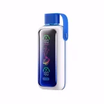 VOZOL Star 20000 Puffar vape Blueberry Storm 5% nikotin best vape Sweden display vape dual mesh uppladdningsbar engångsvape 650mAh 20ml Type-C EU lager