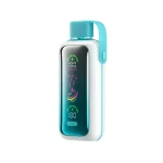 VOZOL Star 20000 Puffar vape Raspberry Apple Watermelon Pineapple 5% nikotin best vape Sweden display vape dual mesh uppladdningsbar engångsvape 650mAh 20ml Type-C EU lager