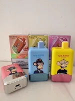 waspe-aiviou-40000-puffar-Real shot photos (30)