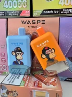 waspe-aiviou-40000-puffar-Real shot photos (35)