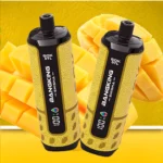 Bang King Shisha 60000 60k Puffar Engångsvape-cool-mango