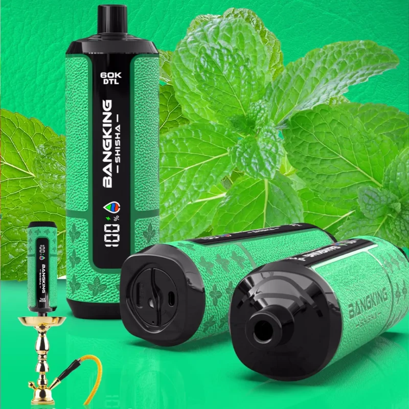 Bang King Shisha 60000 60k Puffar Engångsvape-cool-mint