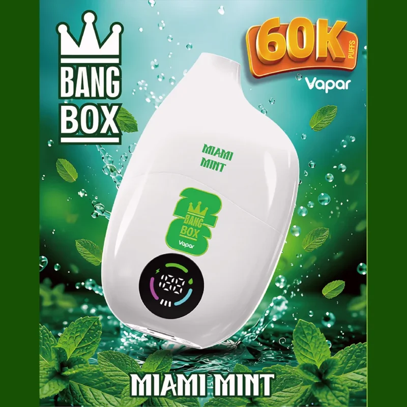 Bang box 60000 60k Puffs Engångsvape-miami-mint
