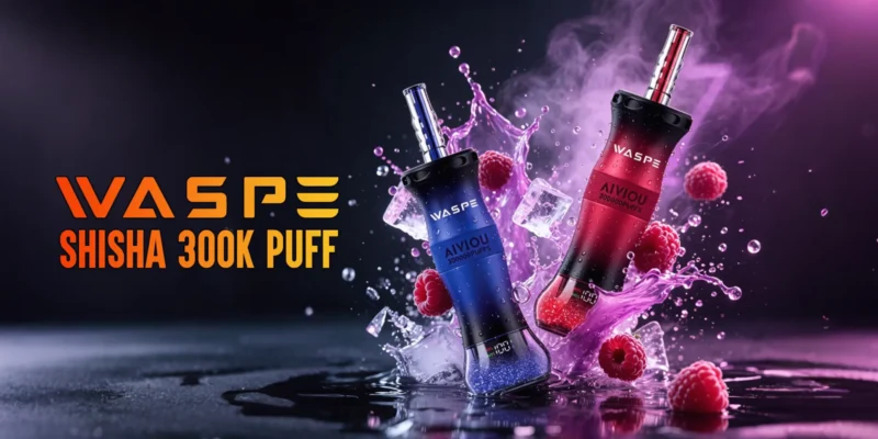 WASPE Shisha Hookah 300K 300000 Puffar Engångsvape (4)