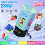 sevape-bang-de-300000-puffar-5-i-1-smakkombination-006-006