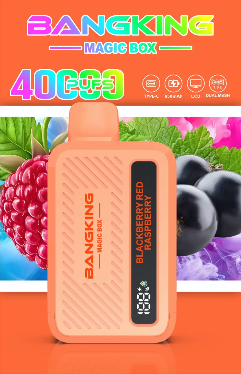 Sevape-Bang-King-Magic-Box-40.000-Züge-tragbar-Rot-Himbeer-Geschmacksbild-014