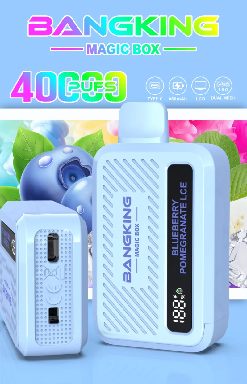 Sevape-Bang-King-Magic-Box-40.000-Züge-Blabar-Granatapfel-Eis-Geschmacksbild-020