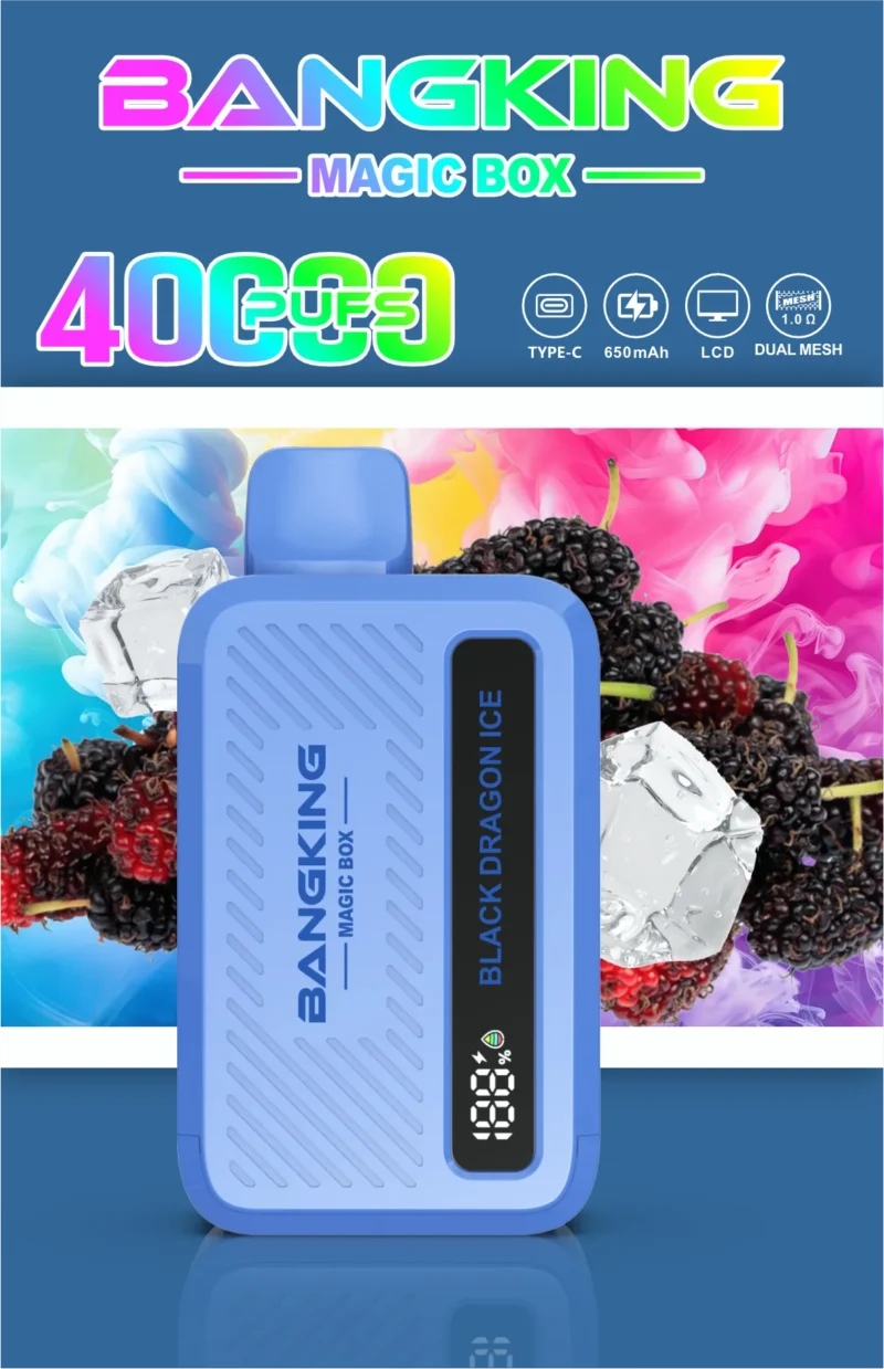 Sevape Bang King Magic Box 40.000 Züge – Schwarzer Drache – Eis-Geschmack – 006