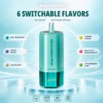 sevape-bang-king-sixer-360000-puffar-6-i-1-smakkombination-03-019