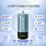 sevape-bang-king-sixer-360000-puffar-6-i-1-smakkombination-08-024