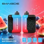 sevape-bangde-starry-60000-puffar-blabar-vattenmelon-smak-produktbild-010